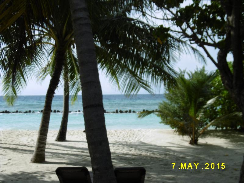Fabulous Holiday