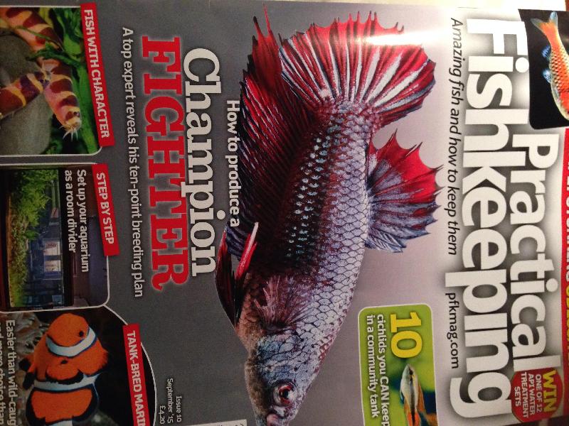 Practical Fishkeeping magazine to Australia