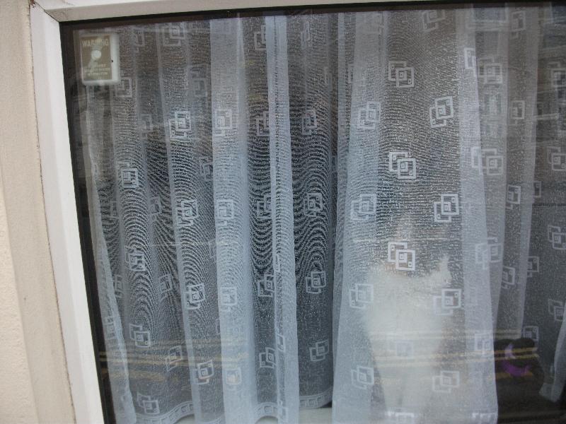 Net Curtains which let light in but keeps your privacy