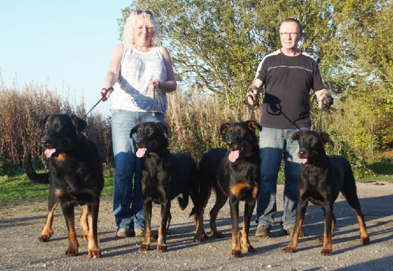 Top quality dog food that does the job.