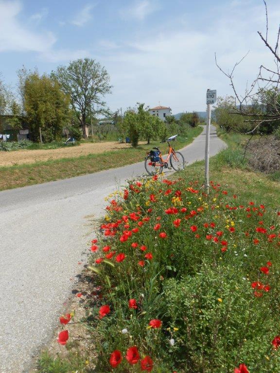 From quiet country roads riding into Florence full of tourists and traffic chaos is what you will remember!