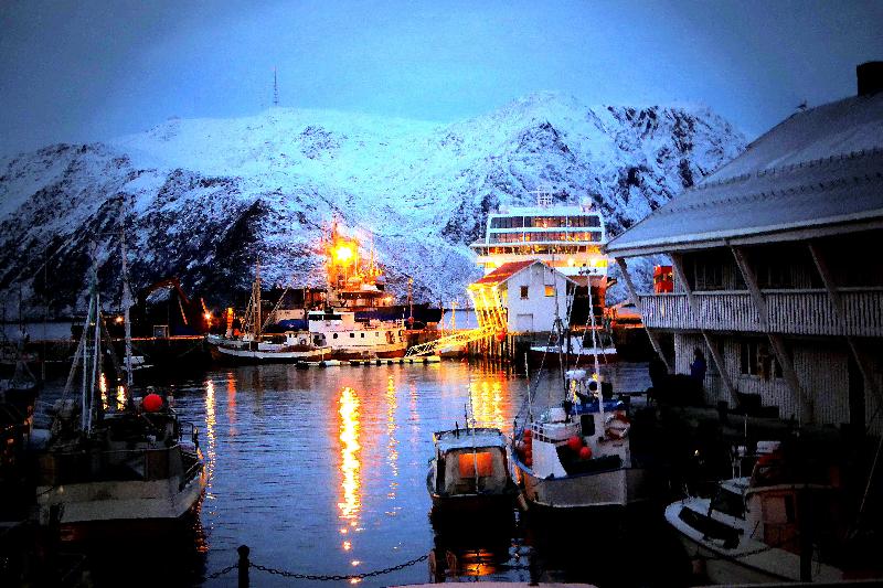 Back to the Arctic