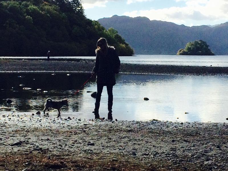 Amazing location. Fantastic food in the hotel restaurant. Unbelievably friendly staff and very welcoming to our dog!