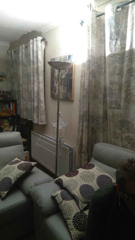 Fresh new curtains