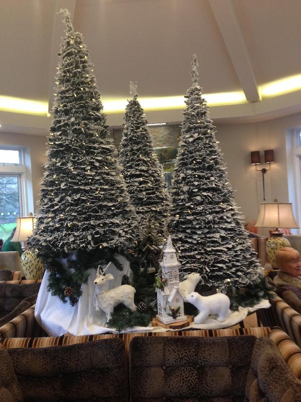 Christmas In The Best Hotel