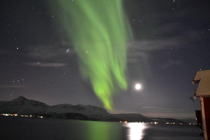 Arctic Norway Northern Lights Dreams Do Come True