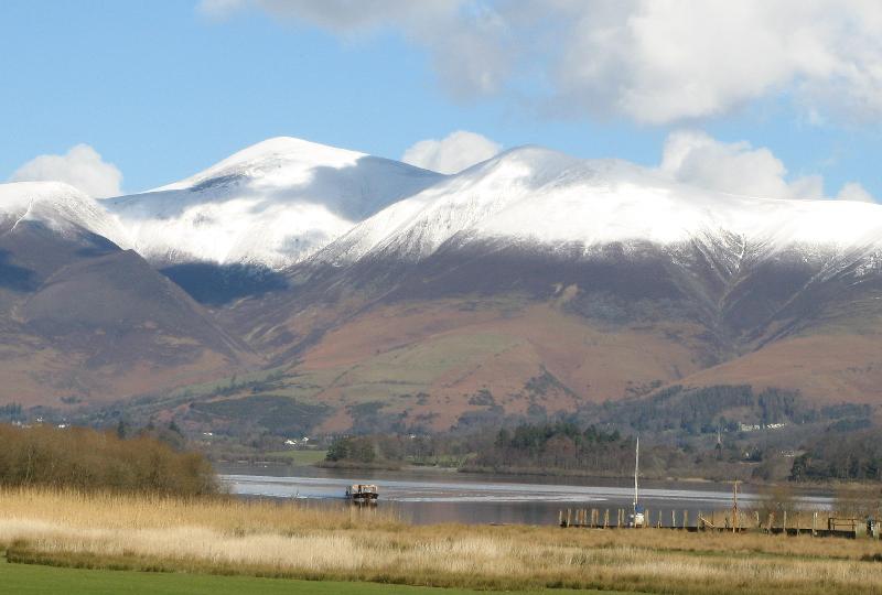 Could make more of the surrounds ... Much more ...