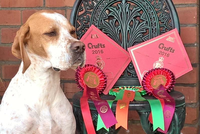 very happy dogs & owners