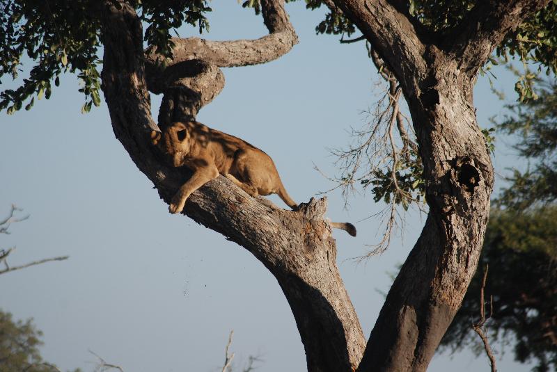 i would highly recommend Go2Africa to one and all.