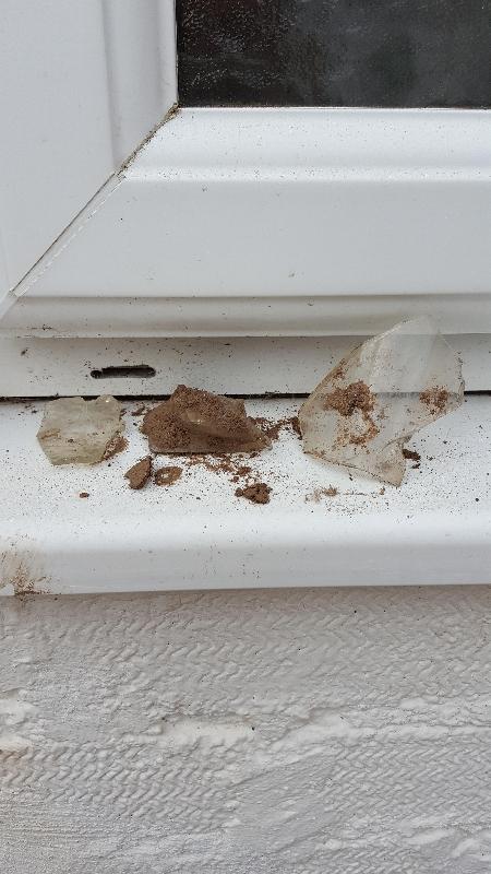 "Screened Topsoil" full of stones, glass and even the end of a pair of scissors!