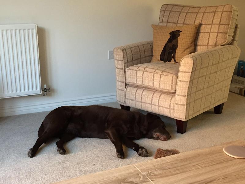 Really pleased with my sofa and accent chair