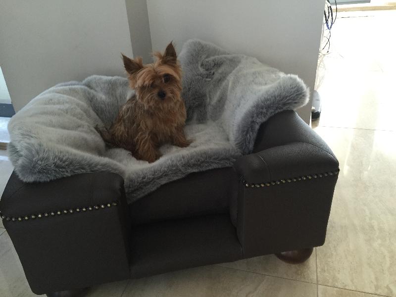 Sandringham Toy Dog Sofa