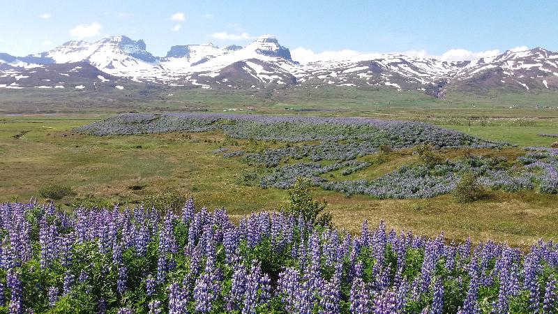 Icelandic exloration