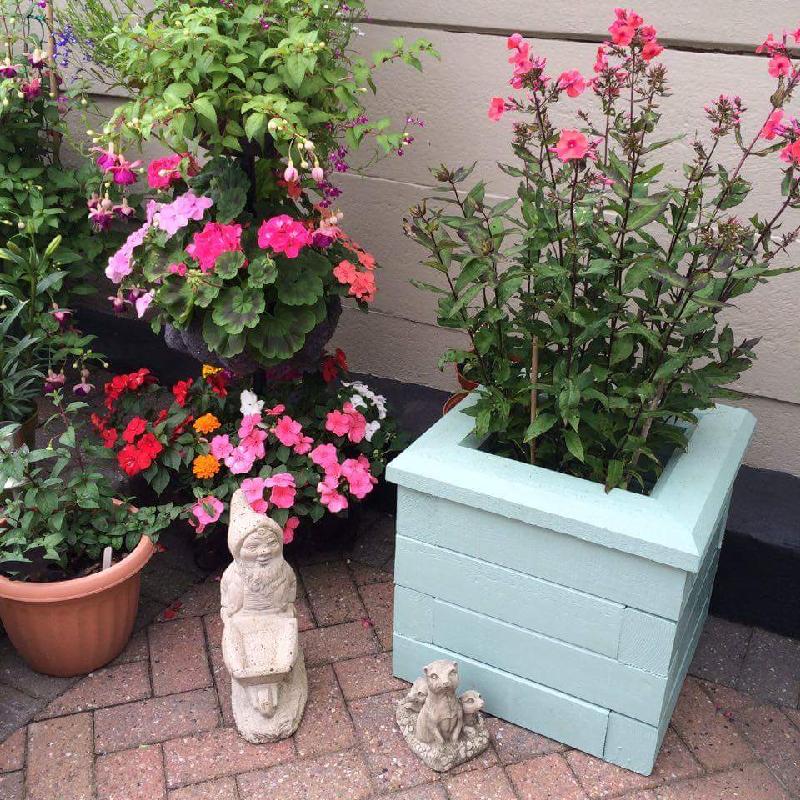 Brilliant planters
