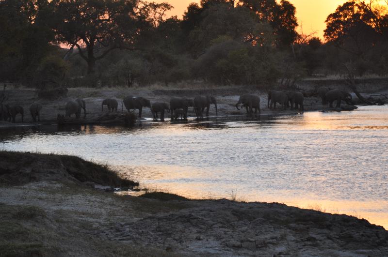Awesome private tour by Go2Africa