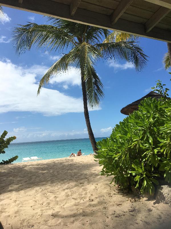 Let's go to arranged another Caribbean treasure holiday for us