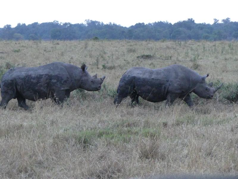 Very happy with Go2Africa