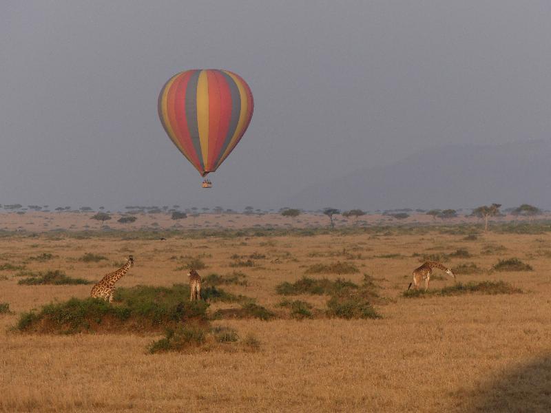 Very happy with Go2Africa