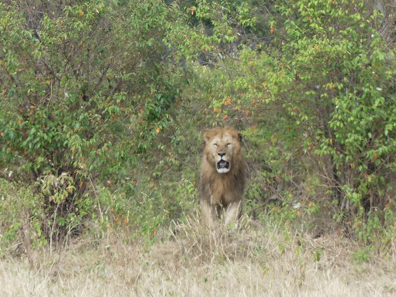 Very happy with Go2Africa