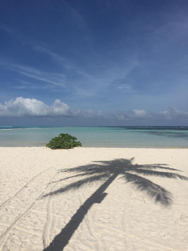 Kuredu