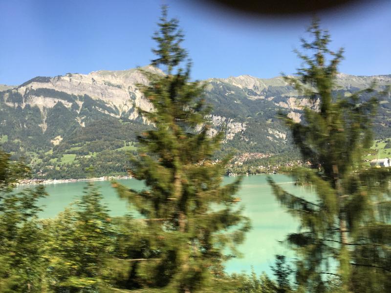 Alpine Countries tour exceeded our expectations!