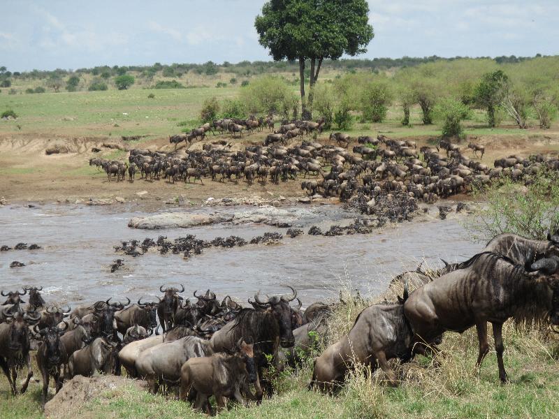 A brilliant safari, well organised by responsive professionals