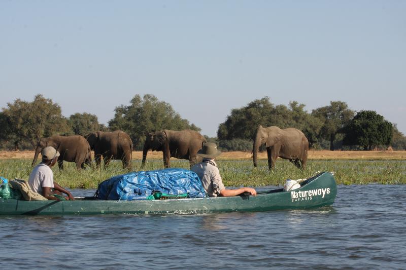 The service which we received from the Zambezi Safari and Travel Company wa...