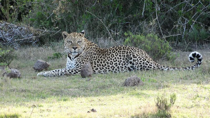 Fantastic 3 week road trip along the Cape Garden Route