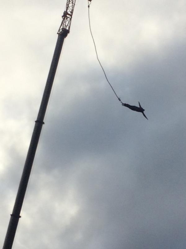 Excellent service by UK Bungee Club Ltd