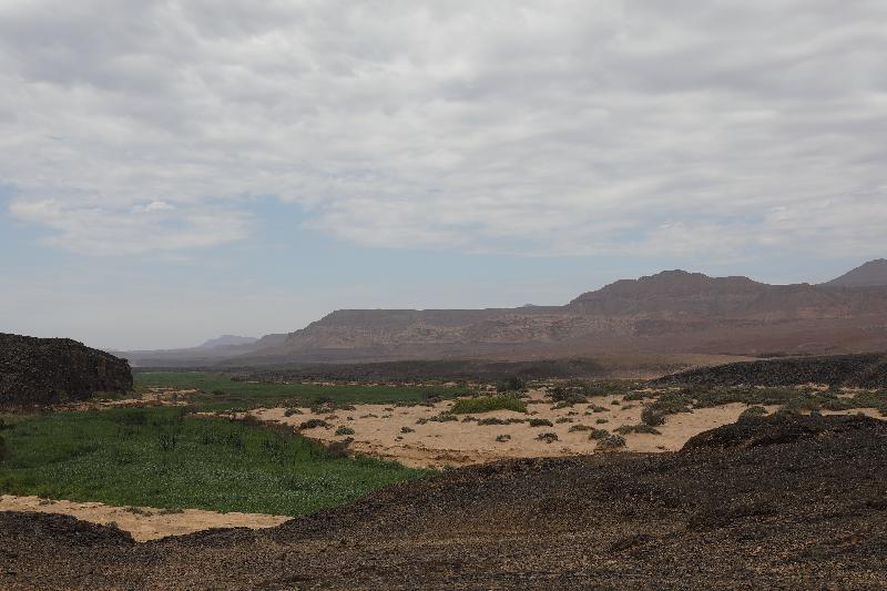 A Great Self-Drive Namibia Vacation Experience Thanks to Go2Africa