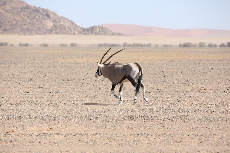 A Great Self-Drive Namibia Vacation Experience Thanks to Go2Africa
