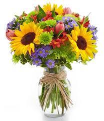 Good service by loans.com.au