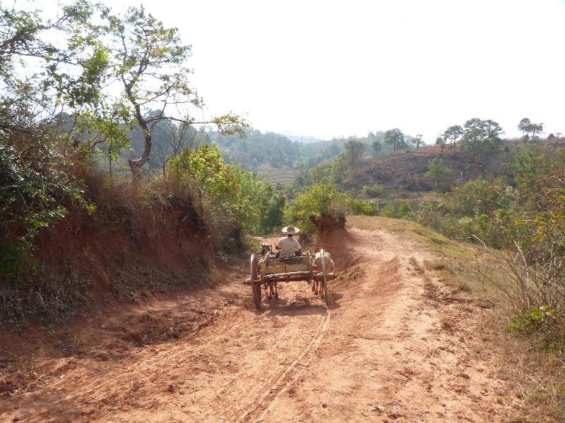 Holiday of a lifetime in Burma
