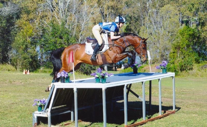 I have multiple horses insured with PetPlan. They range from yearlings to h...