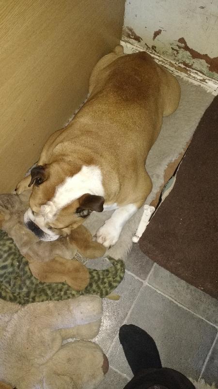 Churchie says more beg beg