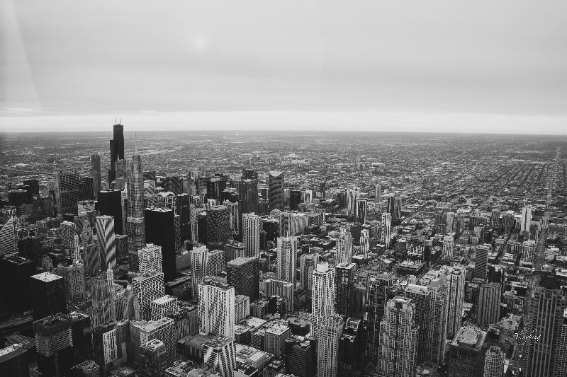 Awesome Experience Must Try ! CHICAGO!