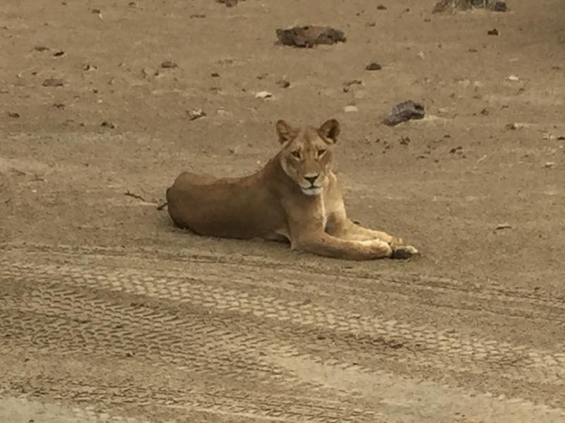 Zambezi Safari and Travel Company is the Best