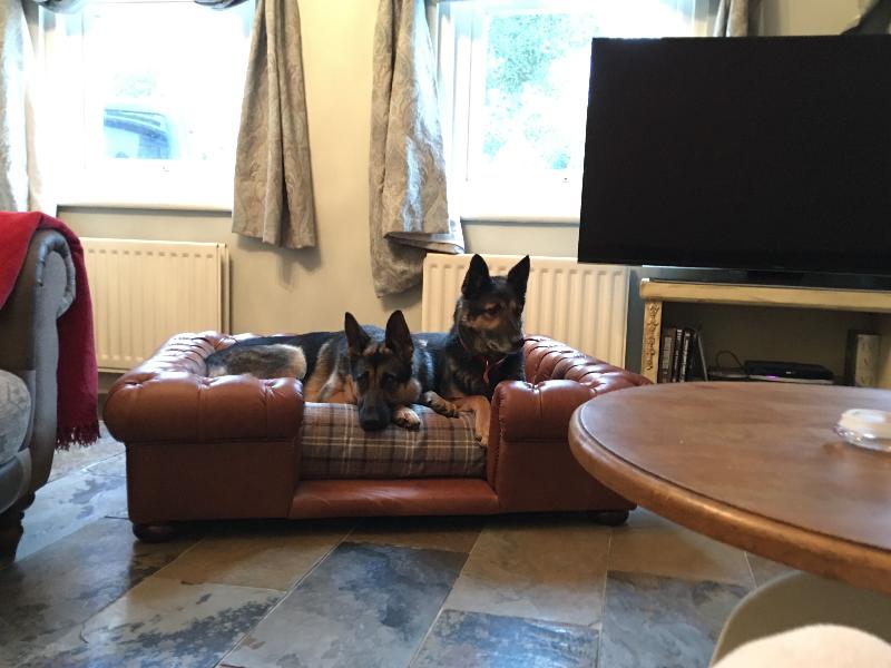 Fab quality , fab dog bed , dogs love it 💕