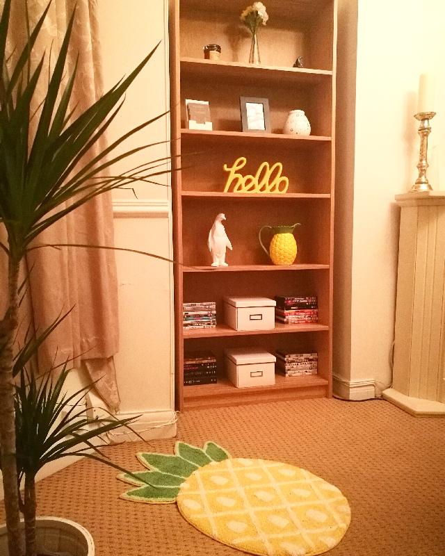 Pineapple and Panda Rugs