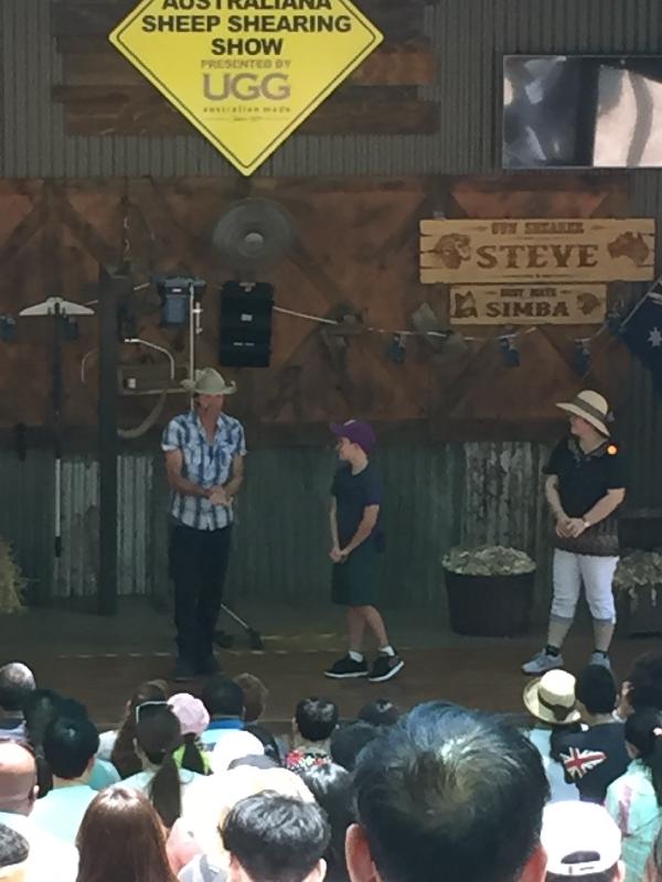 The Australians show was a hit with my grandsons