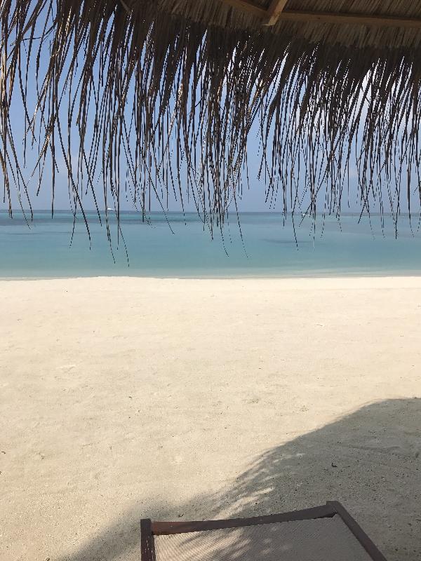 Excellent service by Letsgo2
