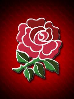 Excellent service by England Rugby Store