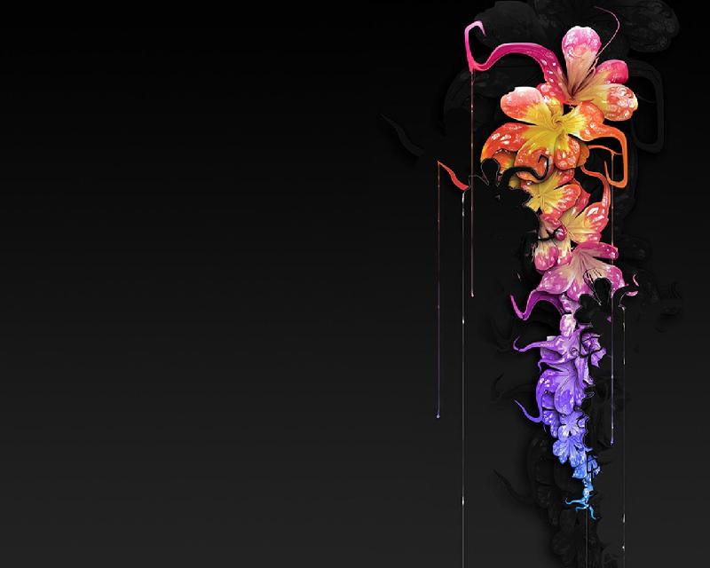 test test test