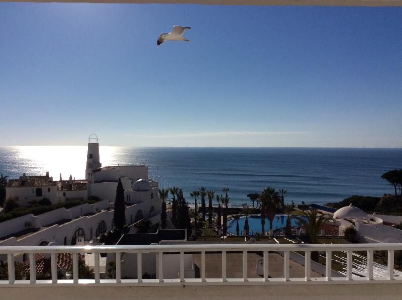 Beautiful view.