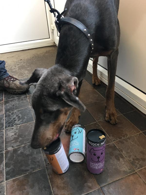 Dobermann Rescue says thanks