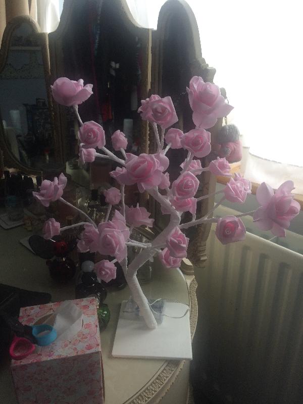 ordered a pink rose tree lamp very happy with the service
