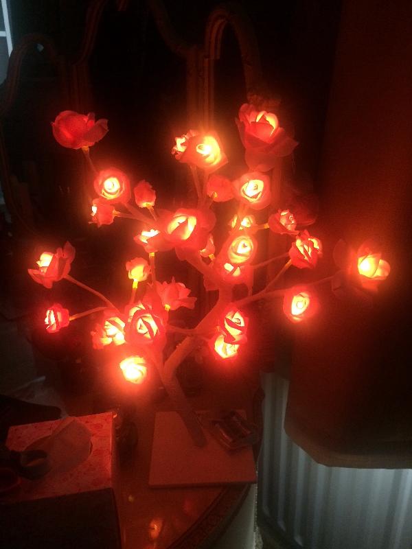 ordered a pink rose tree lamp very happy with the service