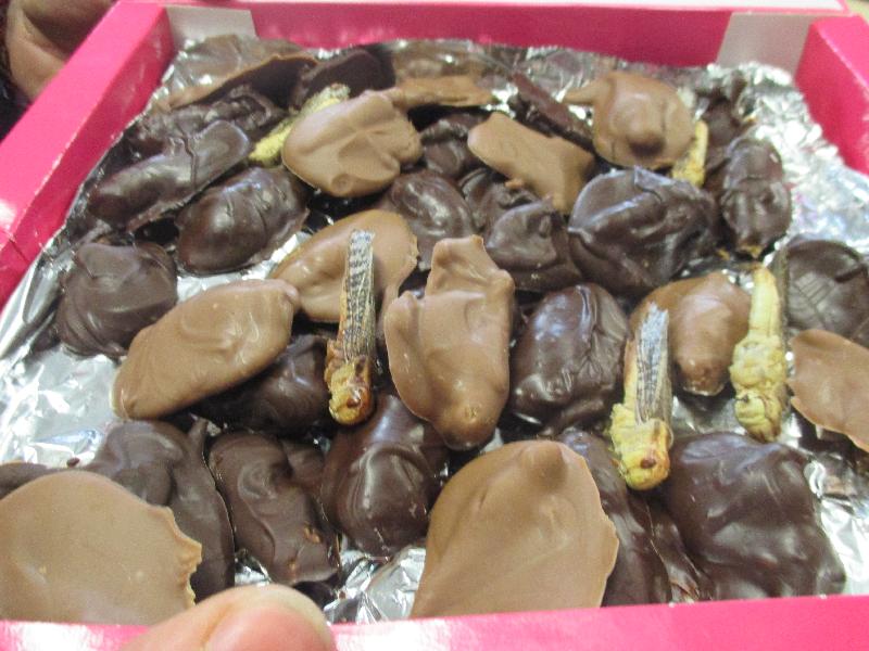 Fantastic RE lesson treat!