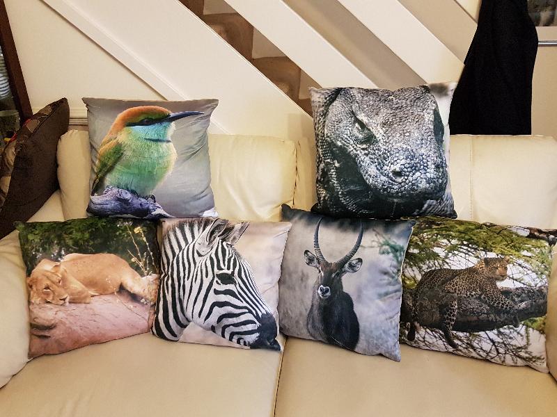 Fantastic cushions