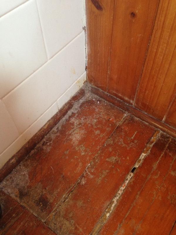Blocked to leave review after cancelling accomodation